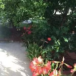 Tanja Apartament