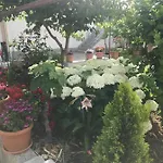 Διαμέρισμα Tanja Βόντιτσε