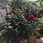 Tanja