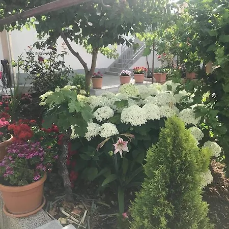 Apartment Tanja Vodice