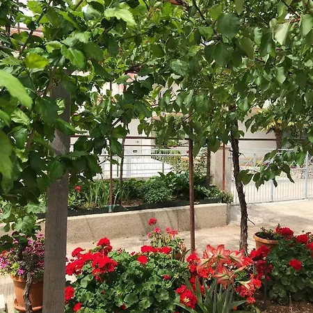 Apartment Tanja Vodice