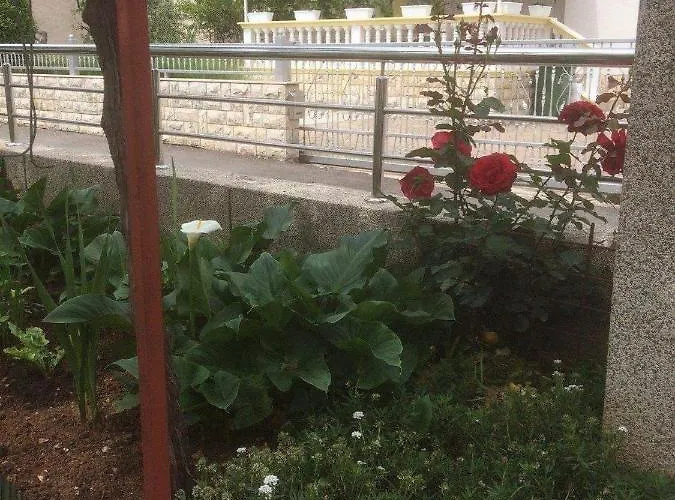 Tanja Appartamento *