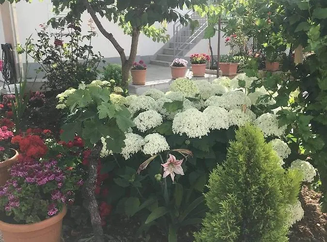 Apartamento Tanja Vodice