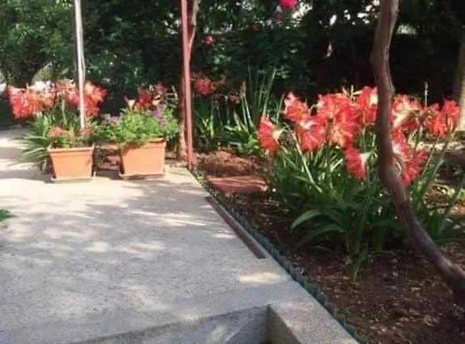 Appartamento Tanja Vodice